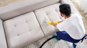 Do Professional Cleaners Have Unique Skills?