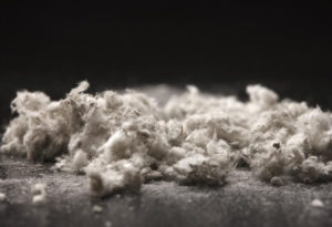 Safe Asbestos Removal: Protecting Your Health and Home
